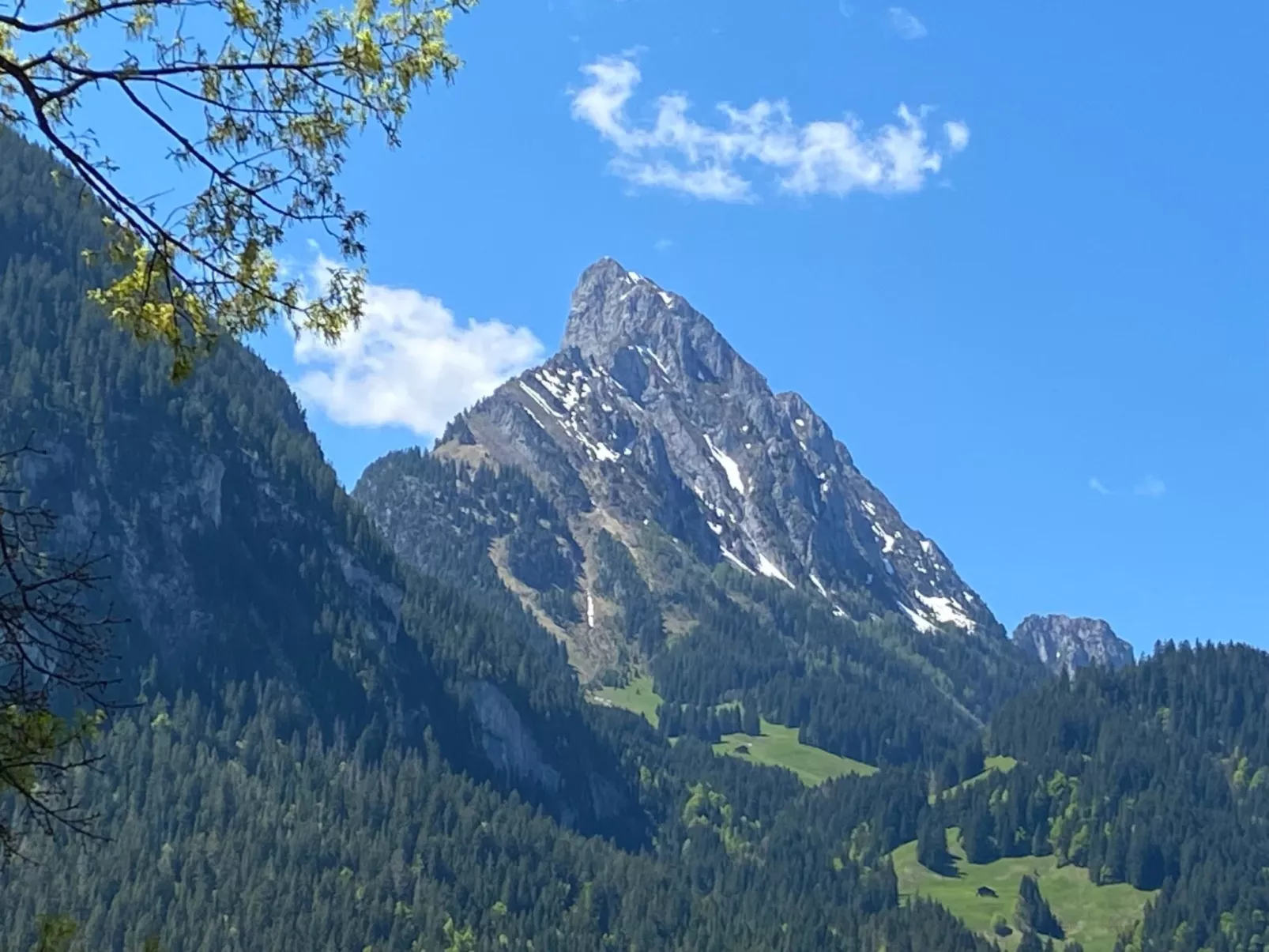 Malgré-tout - Inside