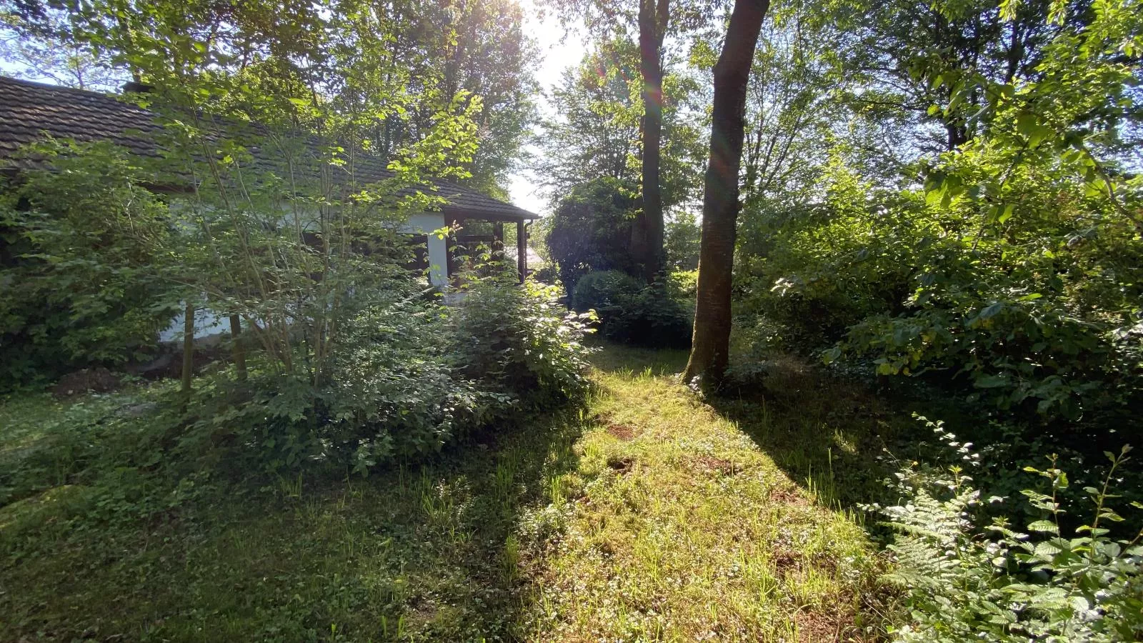 Boogie House - Außenbereich Sommer