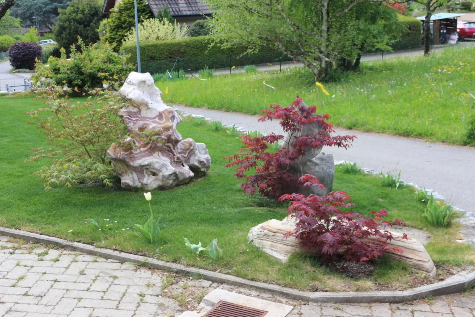 194679-Garten Sommer