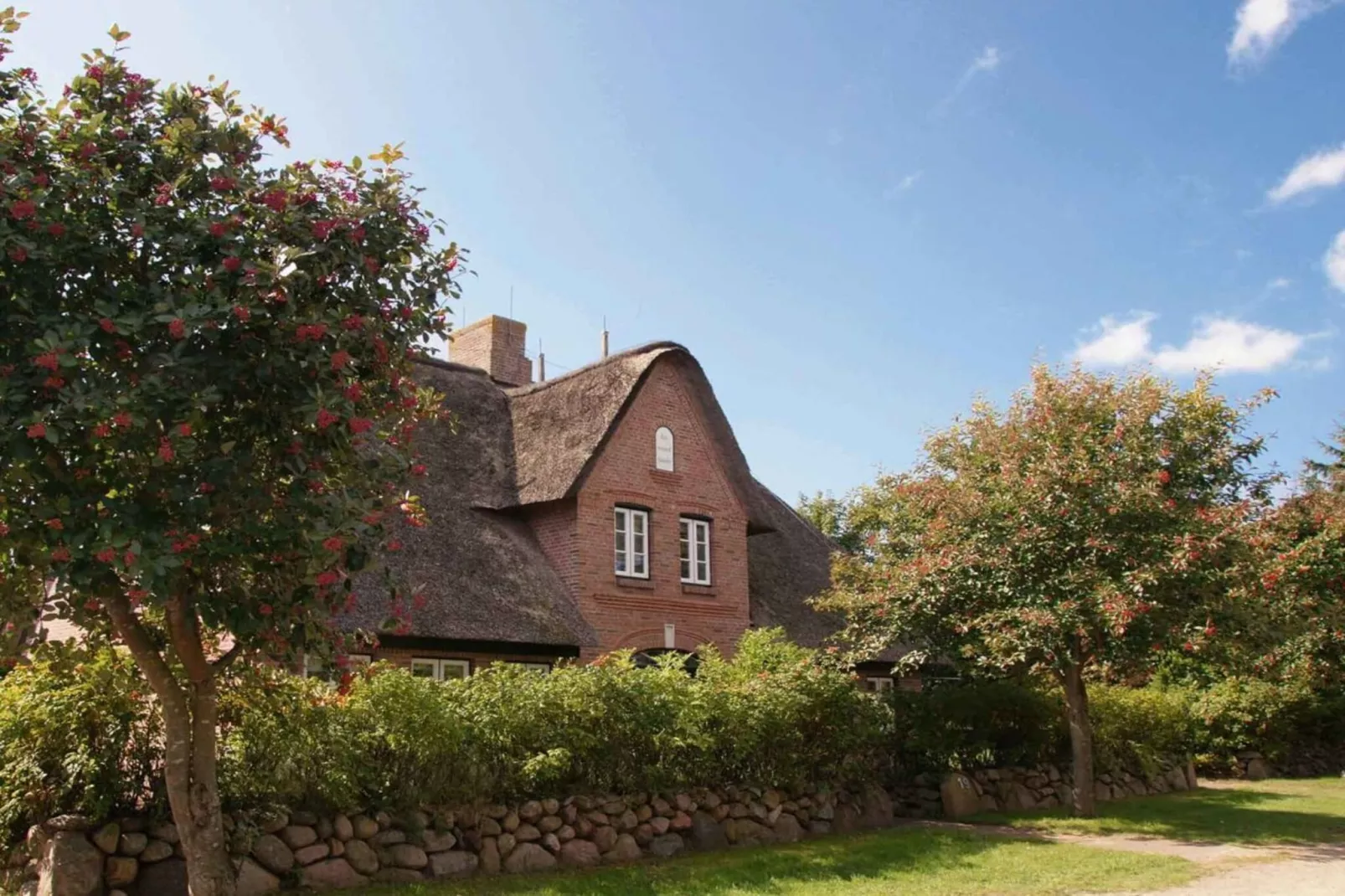 252858-Exterior in summer