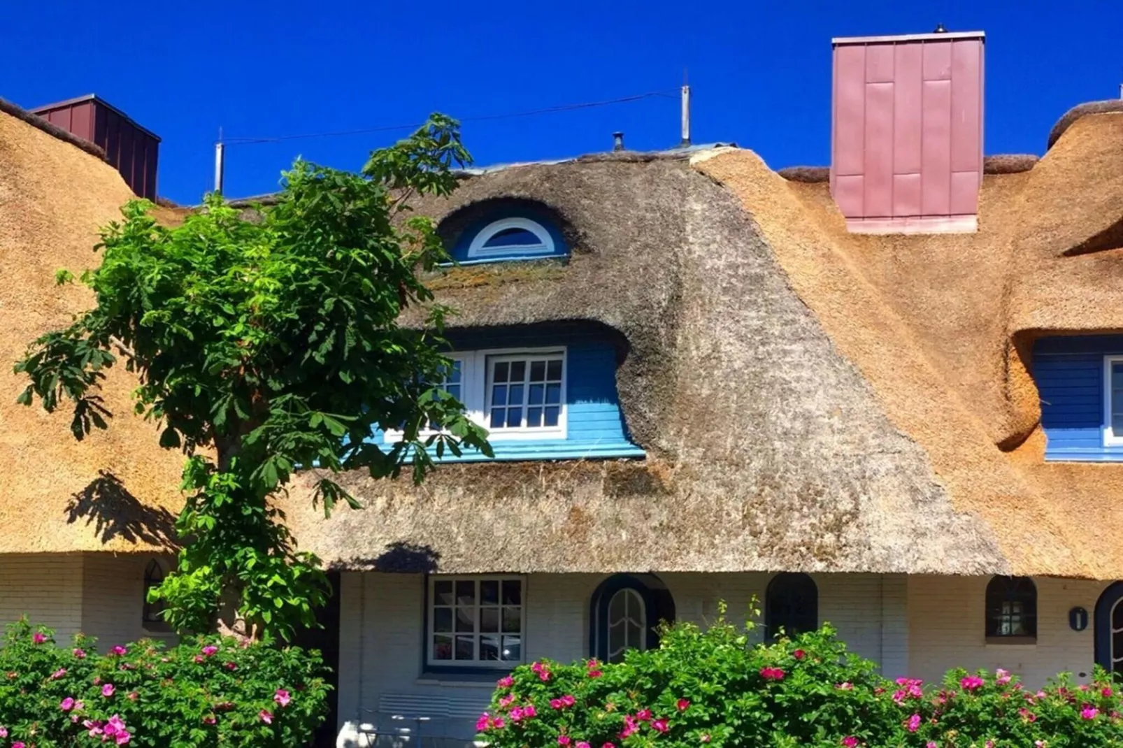 275862-Exterior in summer