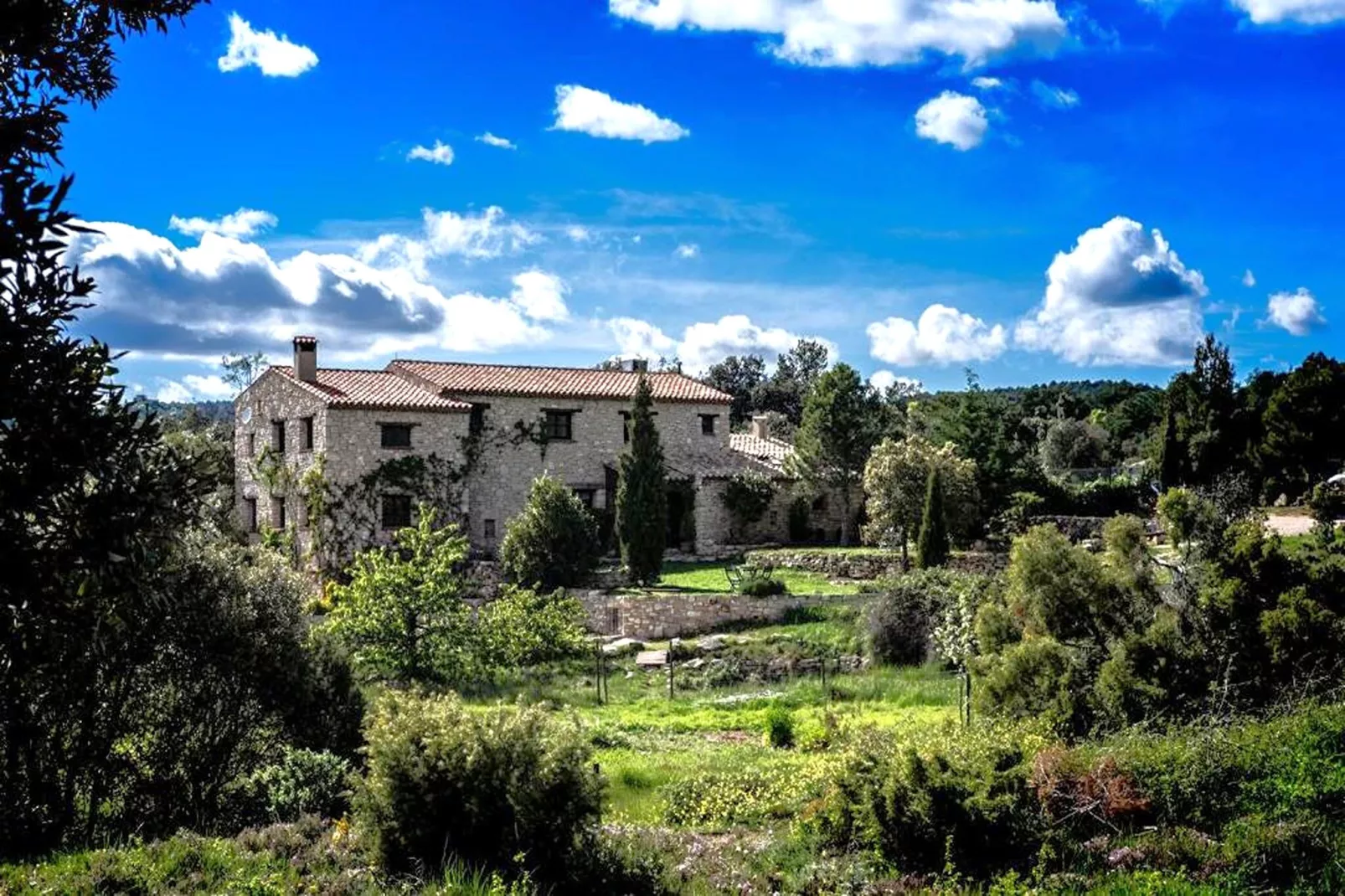 Mas de l'Arlequi - Exterior in summer