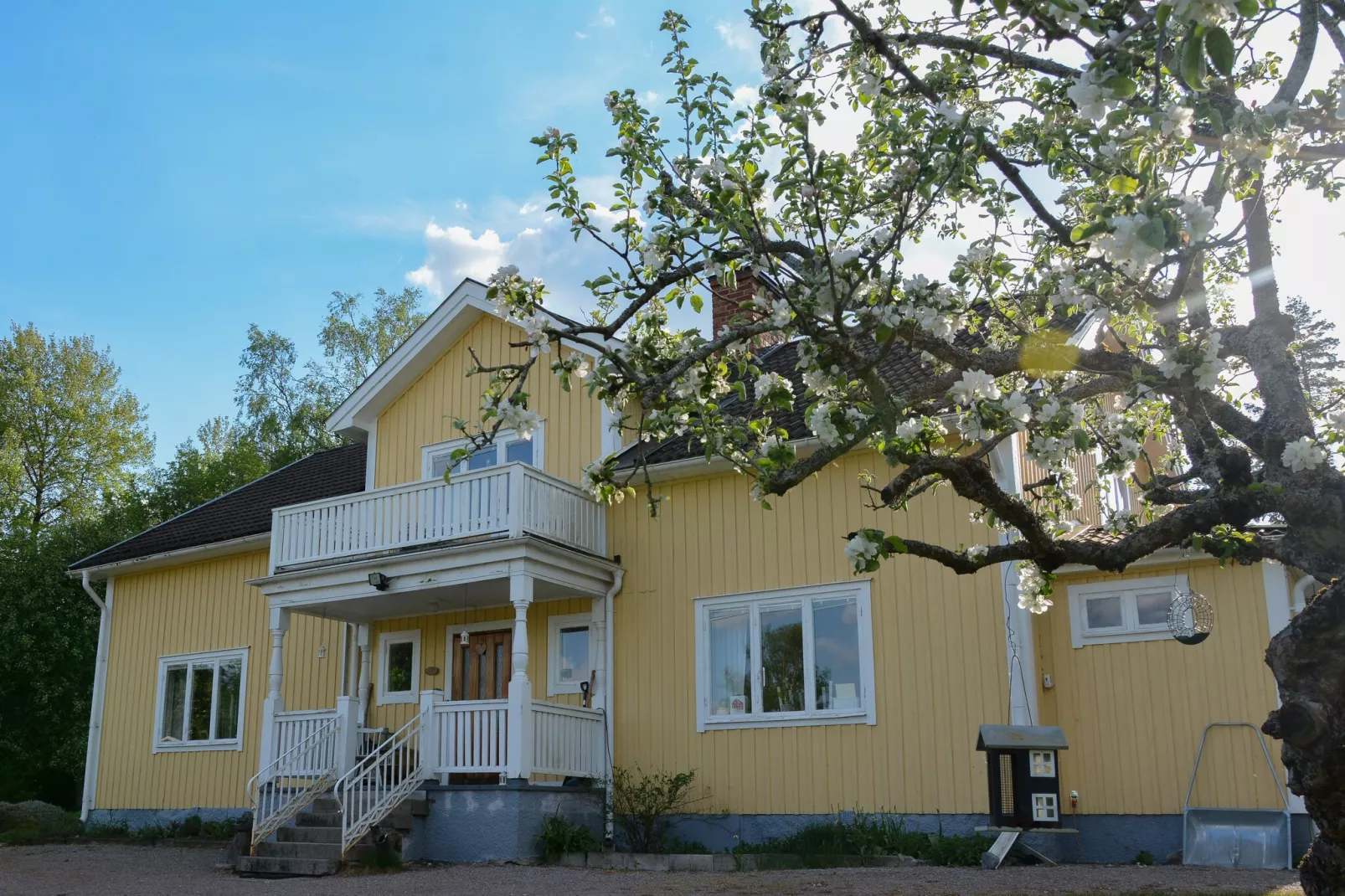 The Farm-Exterior in summer