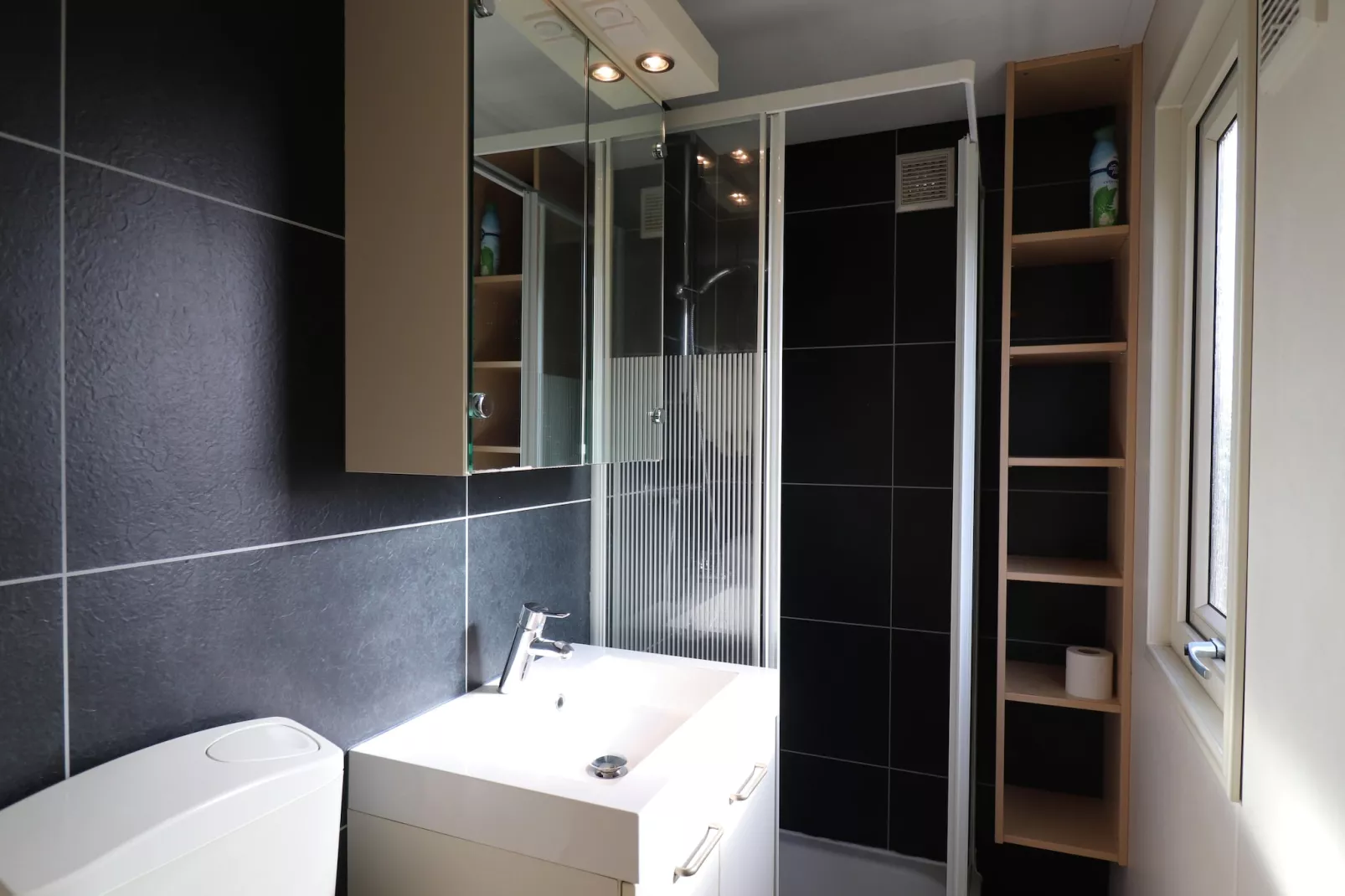 Duinchalet Ameland-Badezimmer