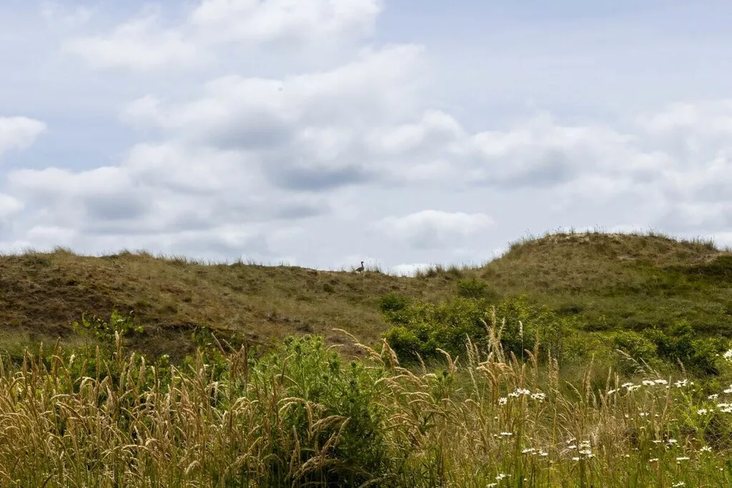 205663-Nicht zugeordnet