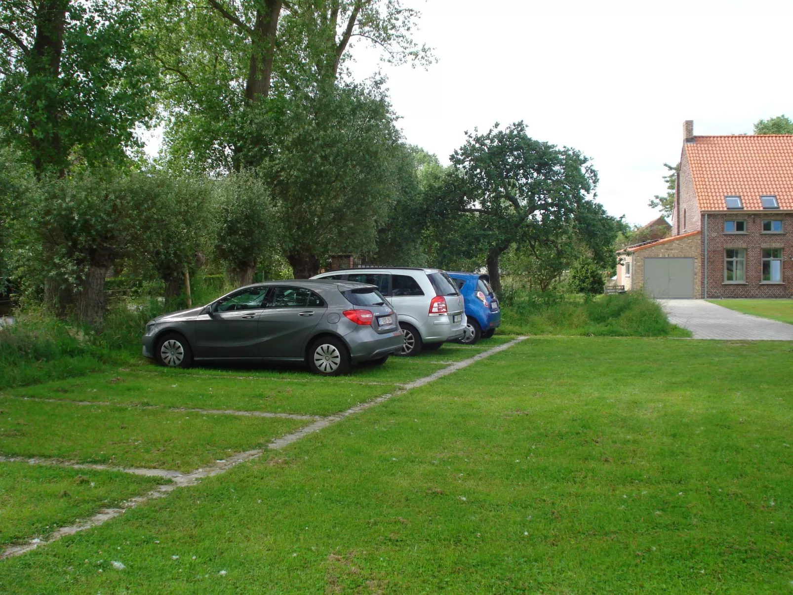 Blackthorn für 6 Personen - Image-tags.info