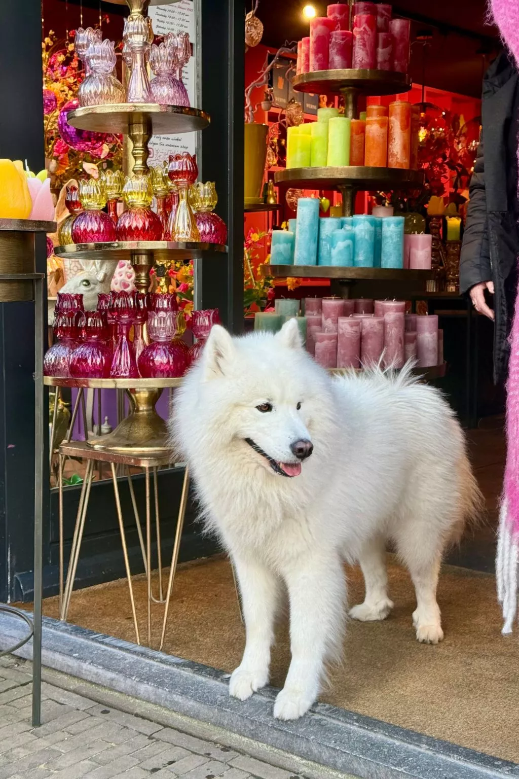 Rekerlanden 174 - Drinnen