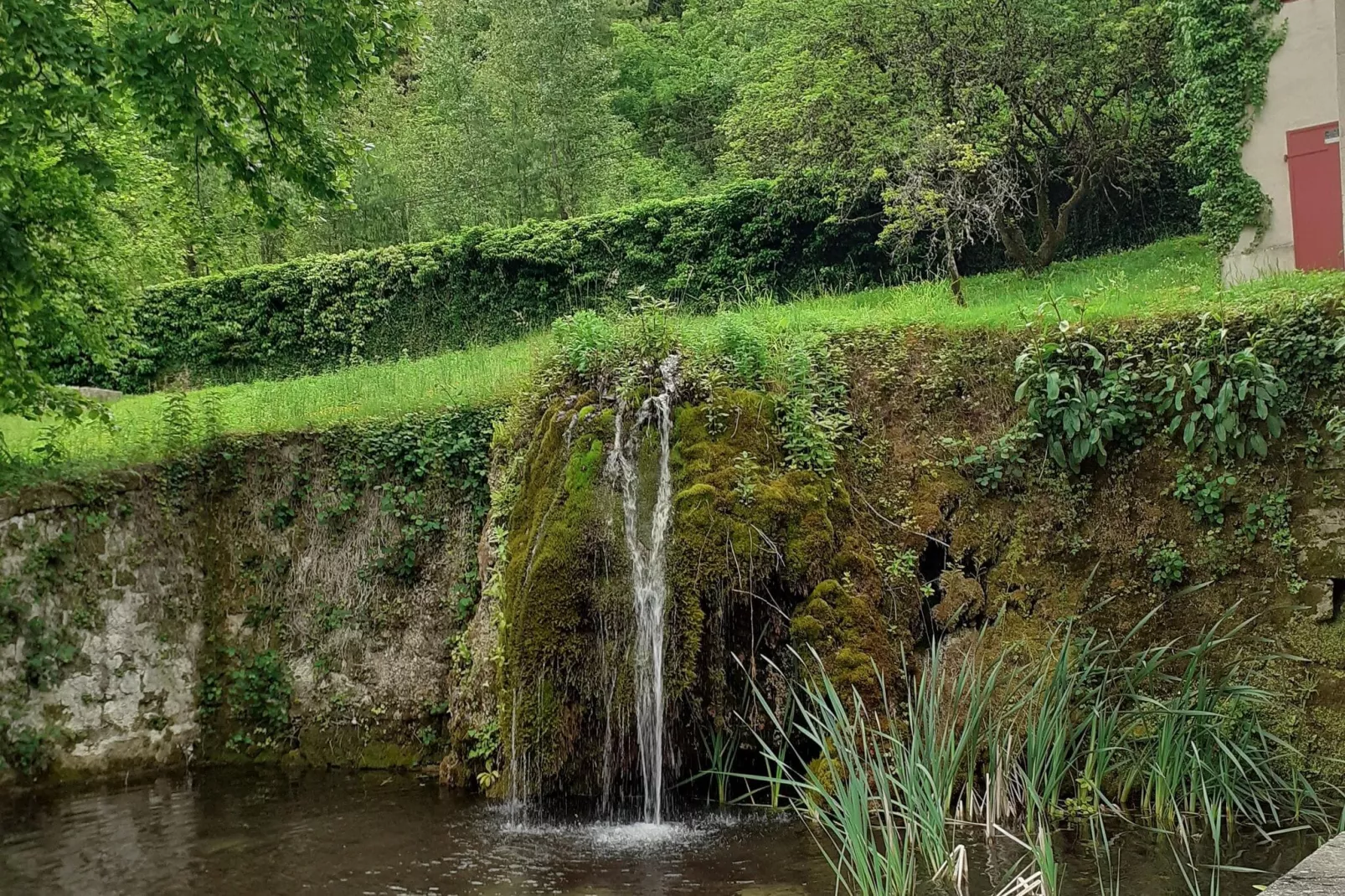 Pluton-Gardens summer