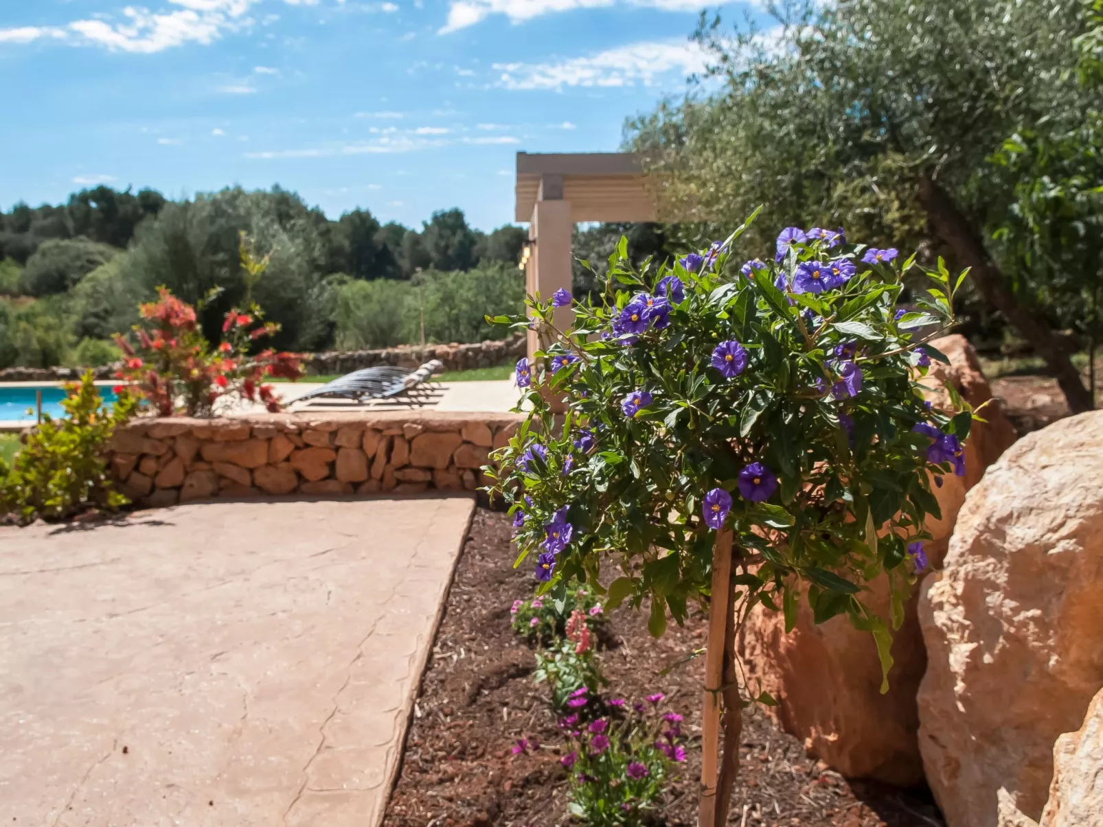 Salas Nou - Dehors
