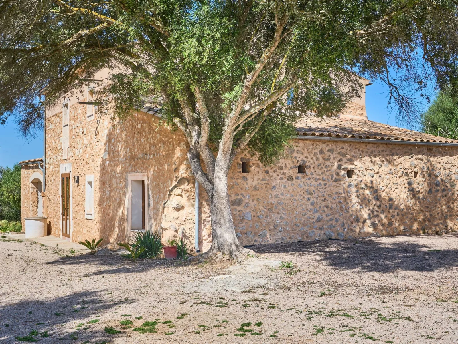 Galeri - Dehors
