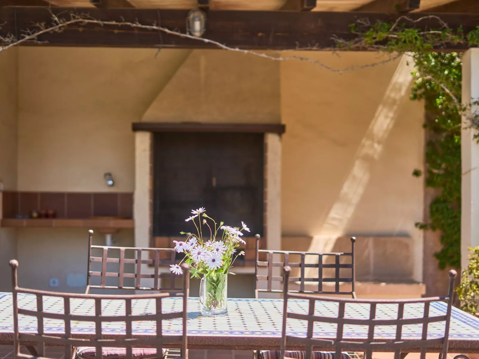 Finca Mal Ric - Dehors