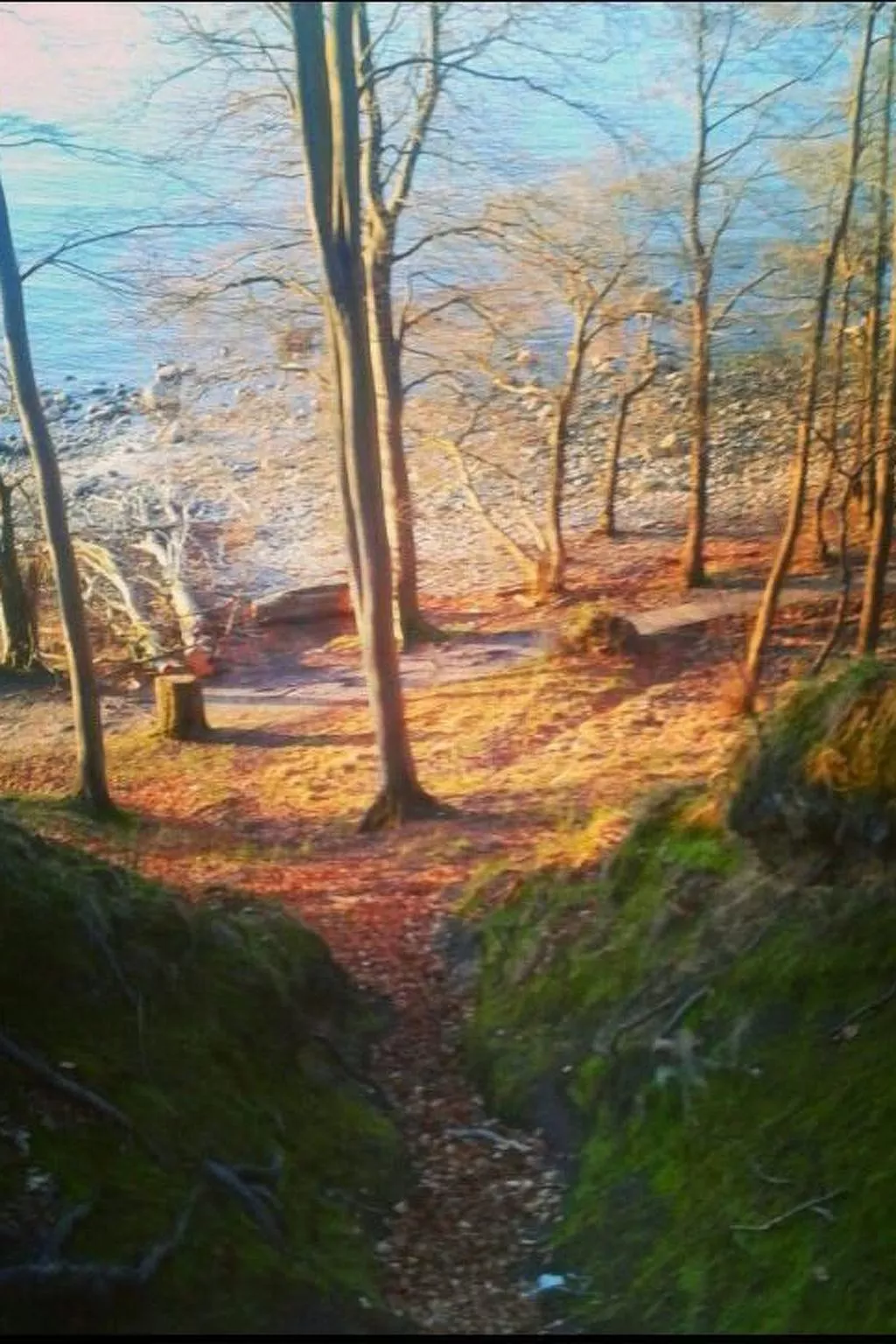 Florö - Image-tags.info