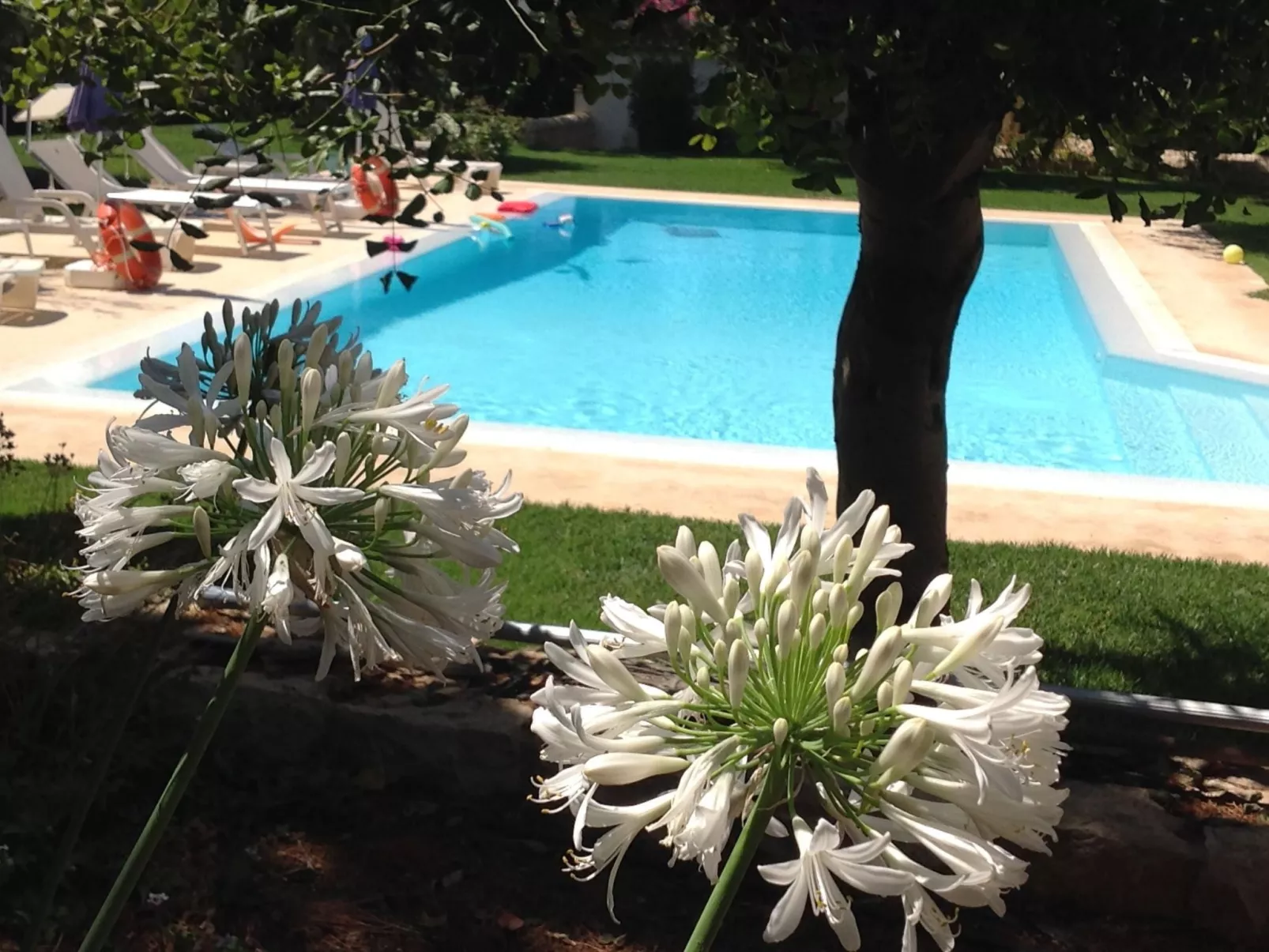 Appartement in Donnalucata mit Großem Garten - Image-tags.info