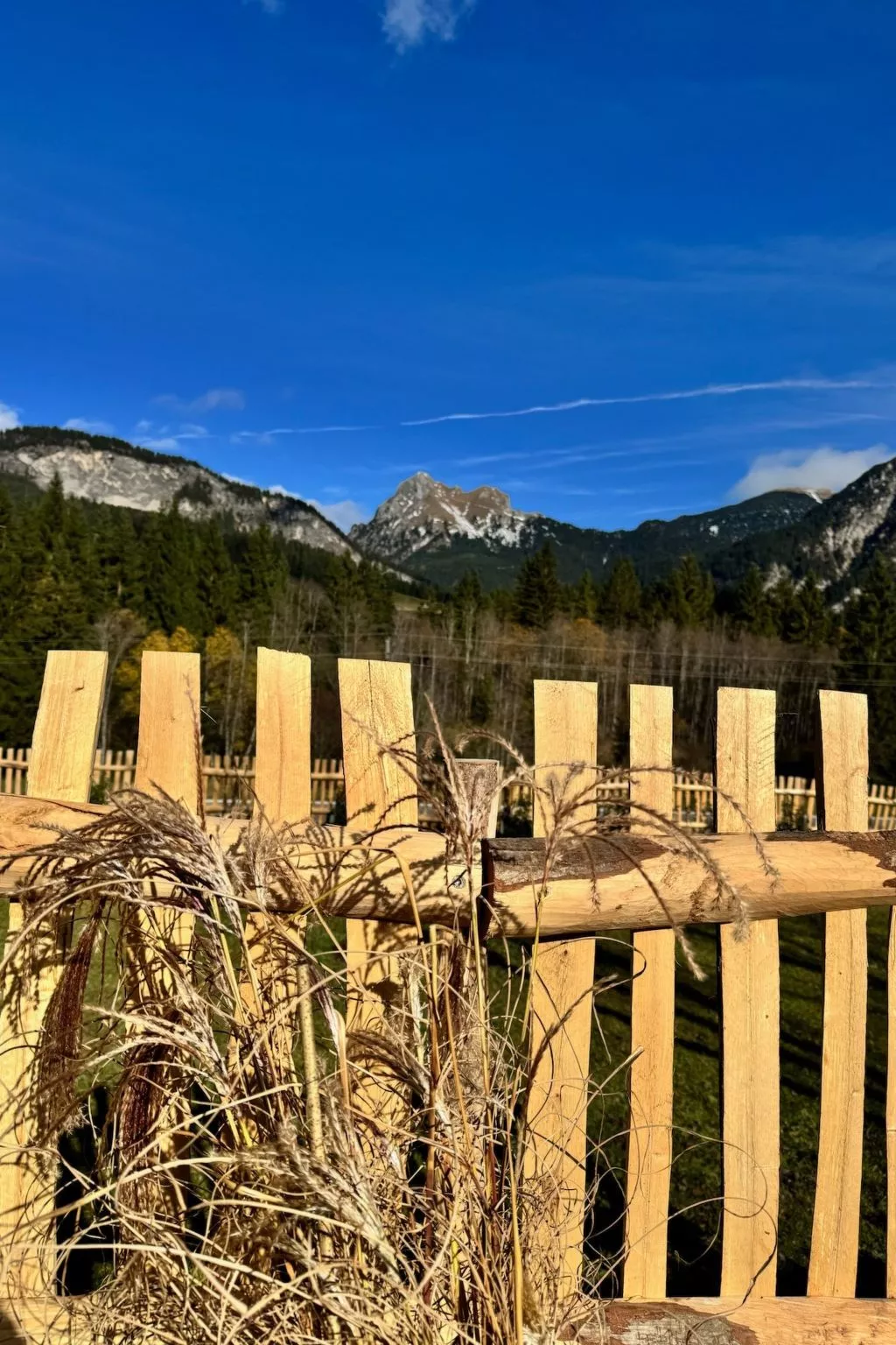 Haus Schönblick - Image-tags.info