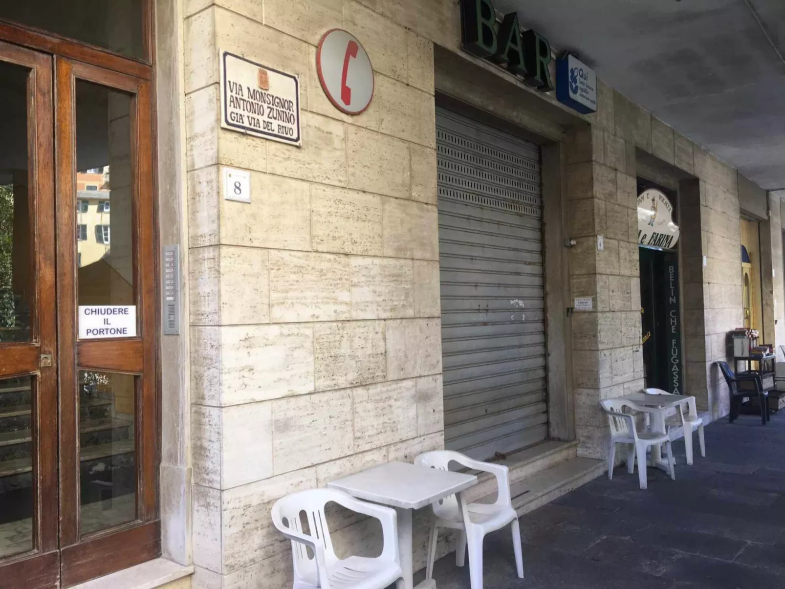 Pitosforo - Image-tags.info