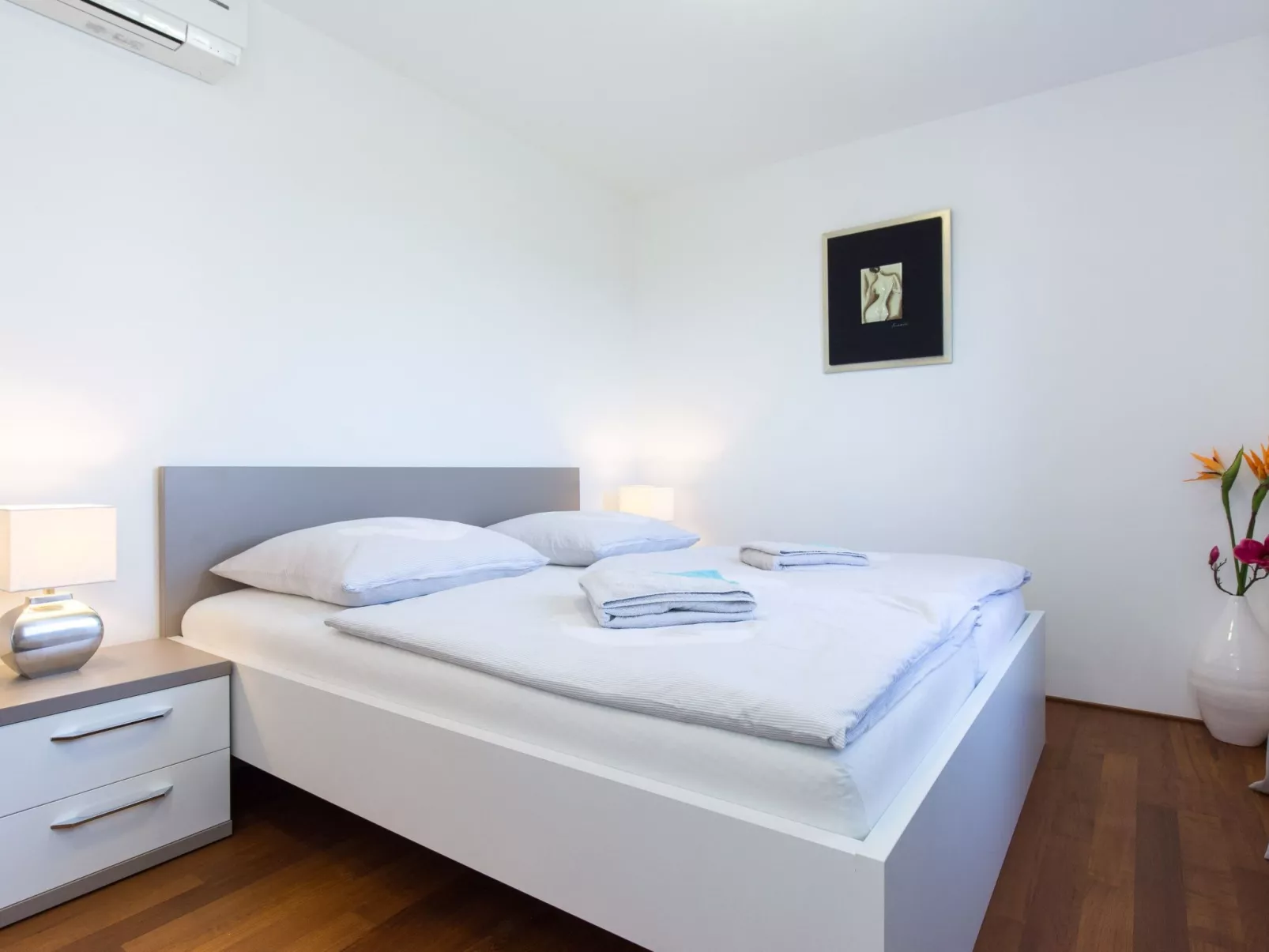 Niko 2 - Image-tags.info