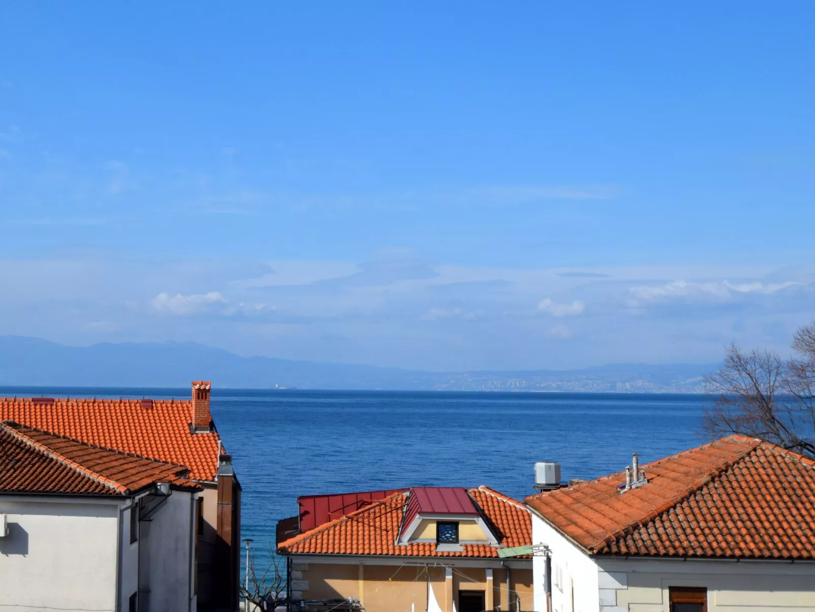 Paula - Image-tags.info