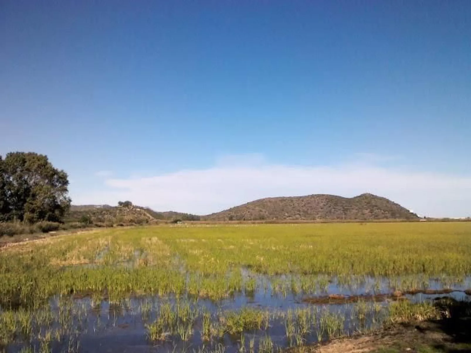Villa im spanischen Stil mit großem Pool und ein - Draußen