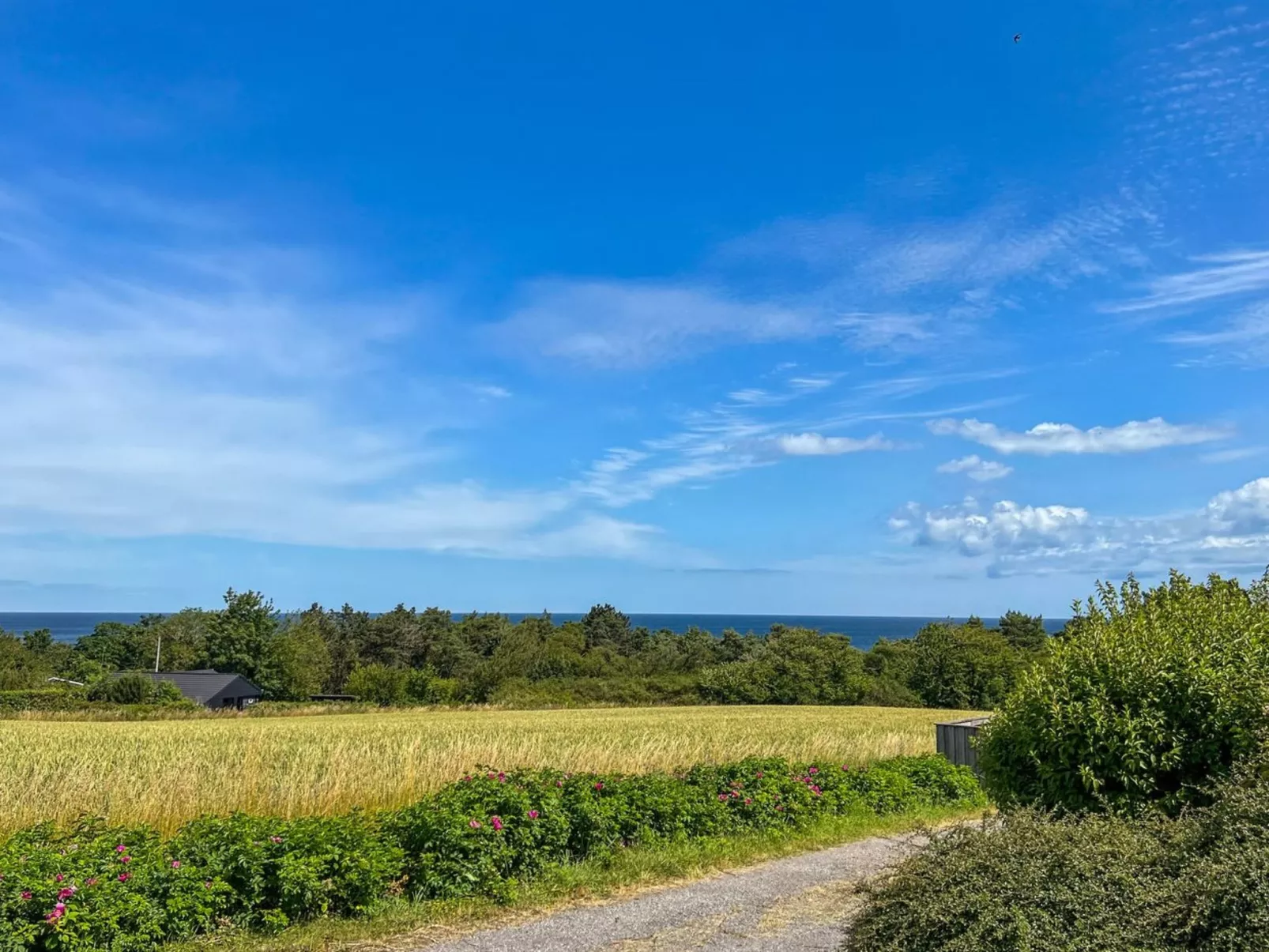 "Kirsti" - 300m from the sea - Dehors