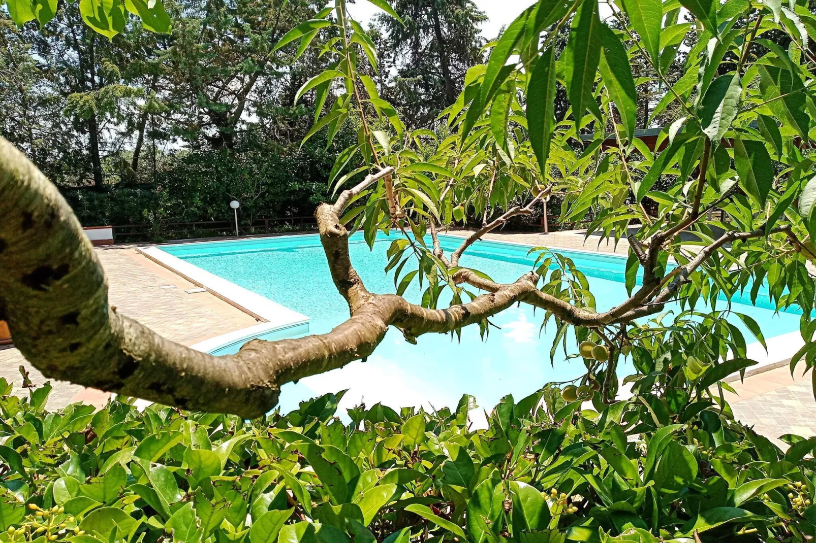 SAPPHIRE HOME - Swimming pool