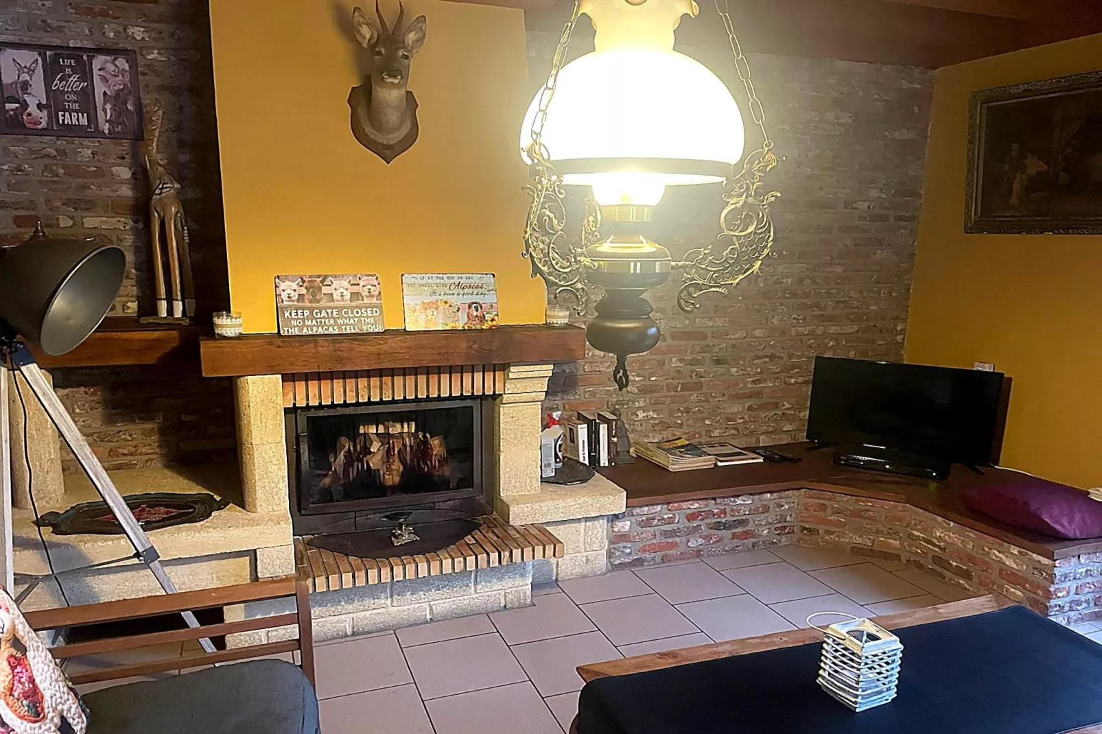 Hondvriendelijke woning met sauna en jacuzzi - Wohnzimmer