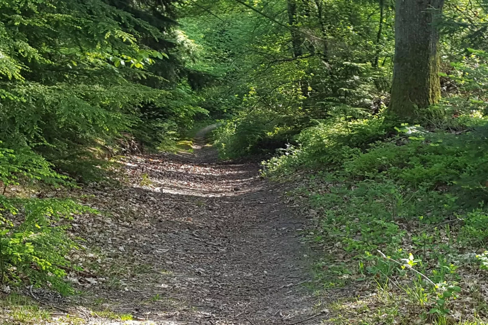 8 person holiday home in Ebeltoft-Untagged