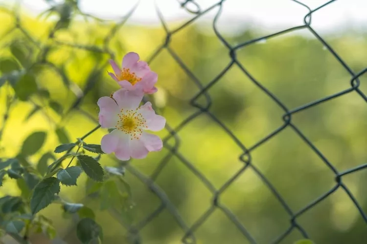 Sommerhus-nordlys 80 qm-Zones été à 1 km