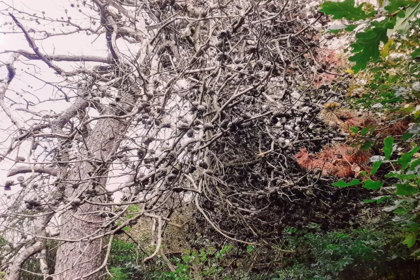 8 person holiday home in Skjern-By Traum - Untagged