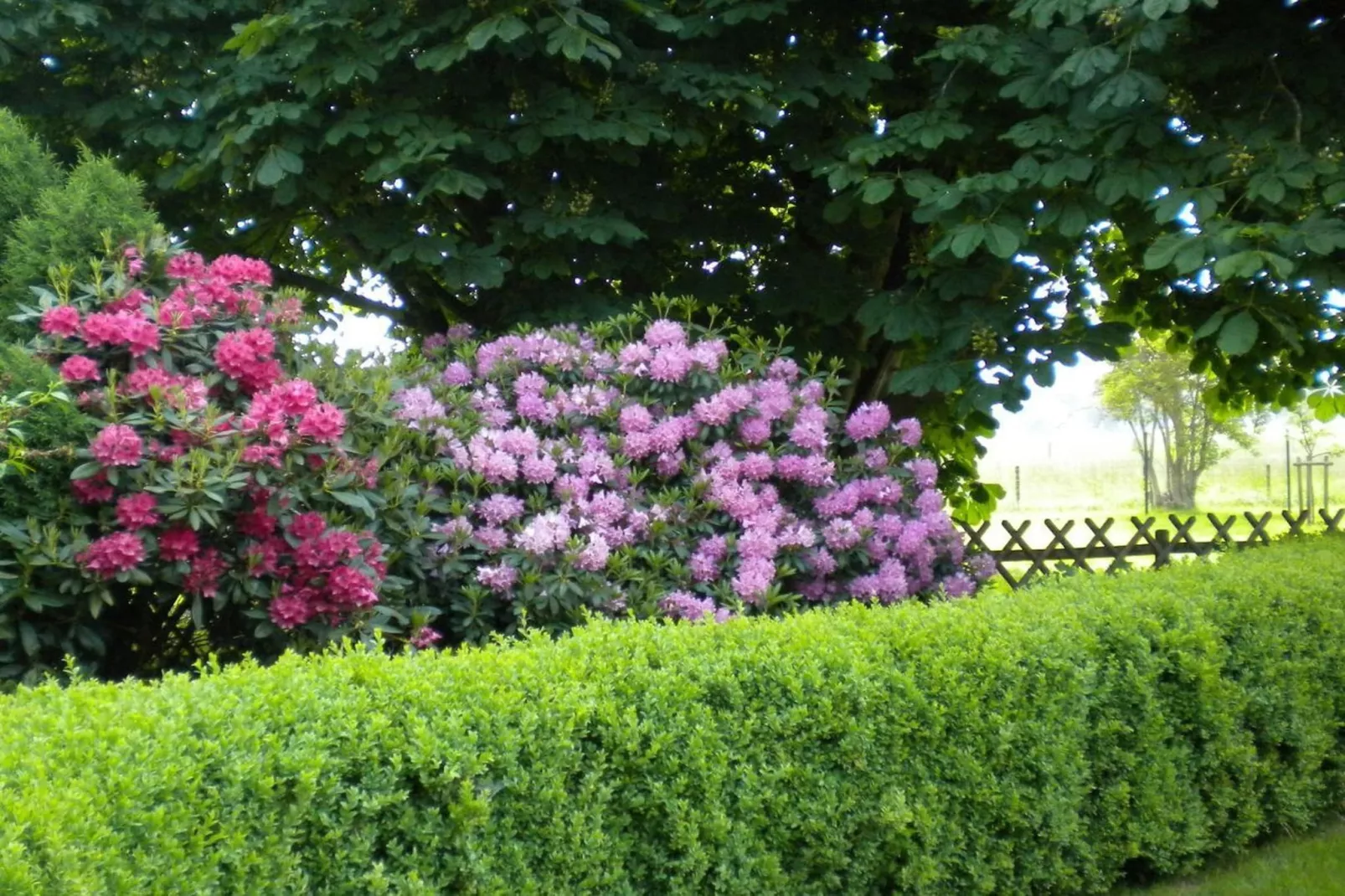 242843-Gardens in summer