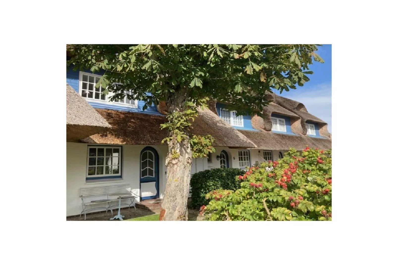 275862-Exterior in summer