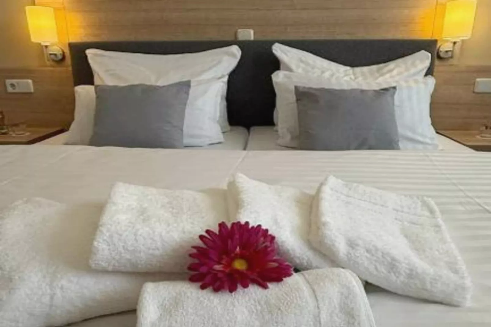 Standard Double Room-Chambre