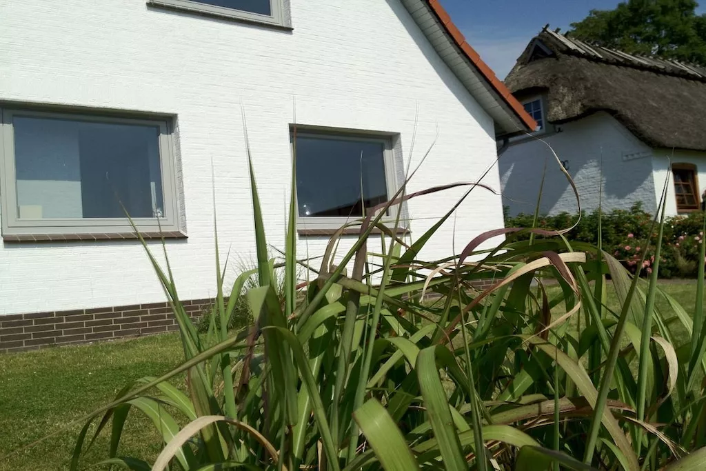 58009-Nicht zugeordnet