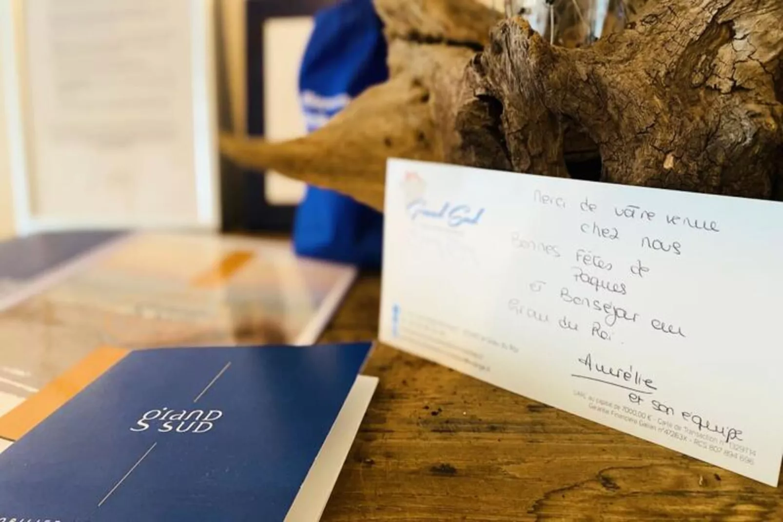 Résidence La M&eacute;diterran&eacute;e Appartement Au Coeur Du Village 50 M De La Plage-Untagged