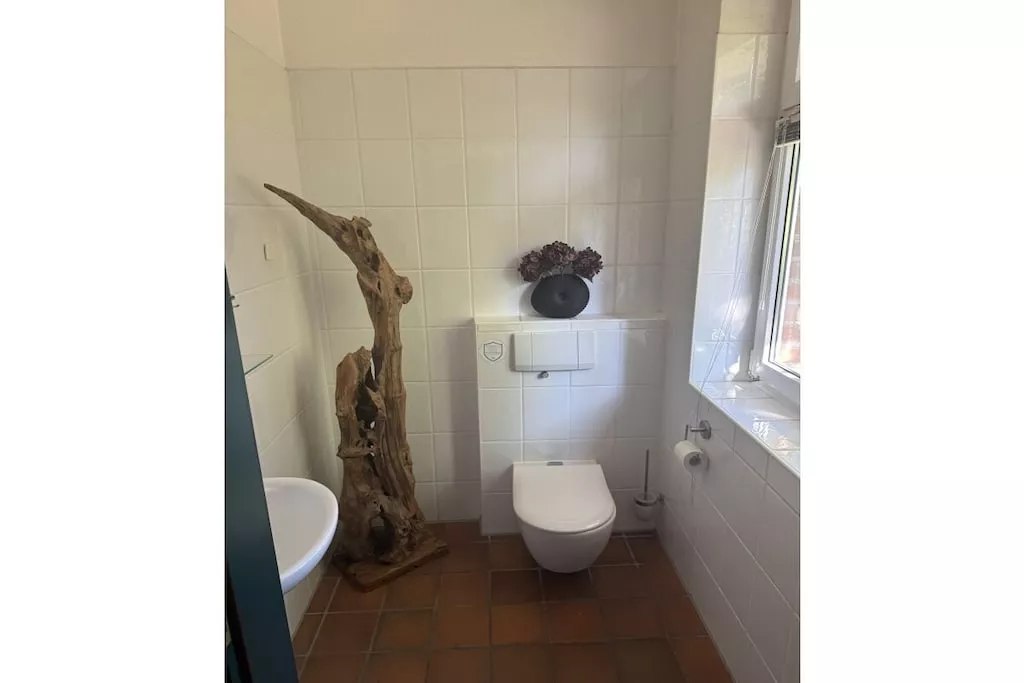 479956-Nicht zugeordnet