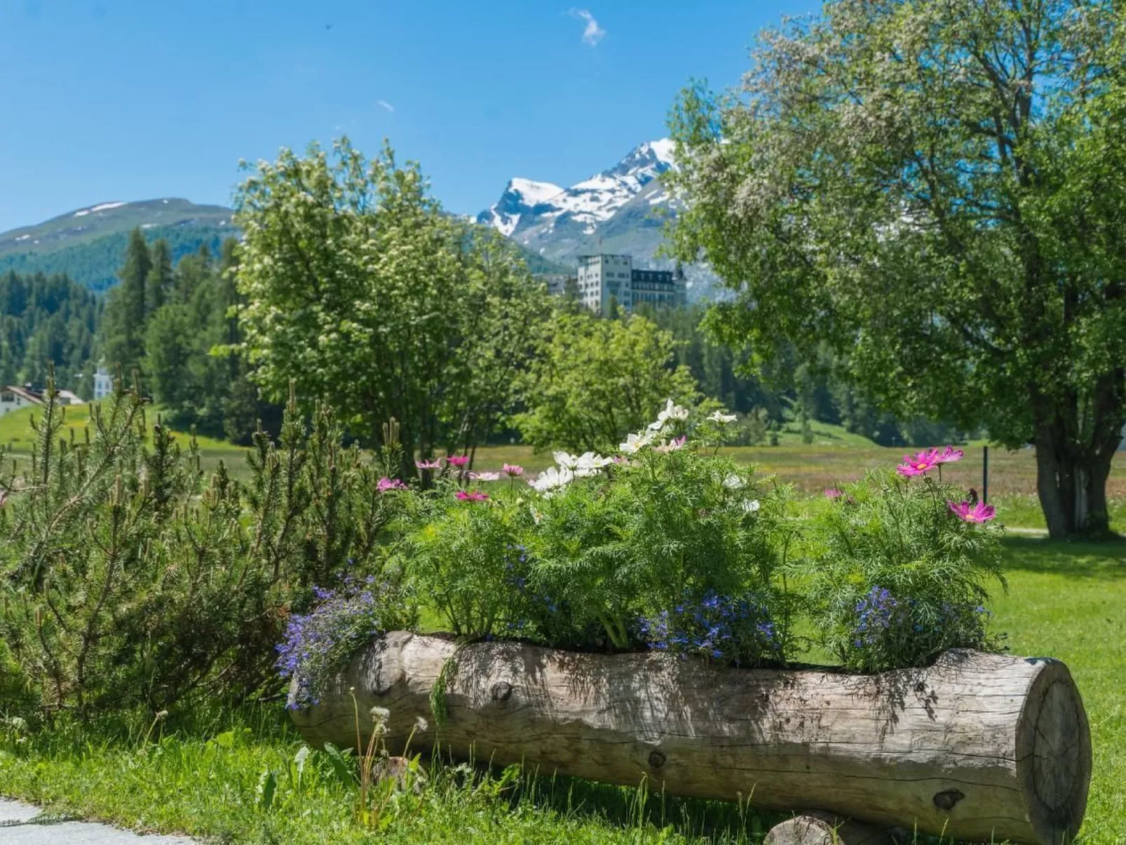 Chesa Flur Sulagl 2 - Image-tags.info