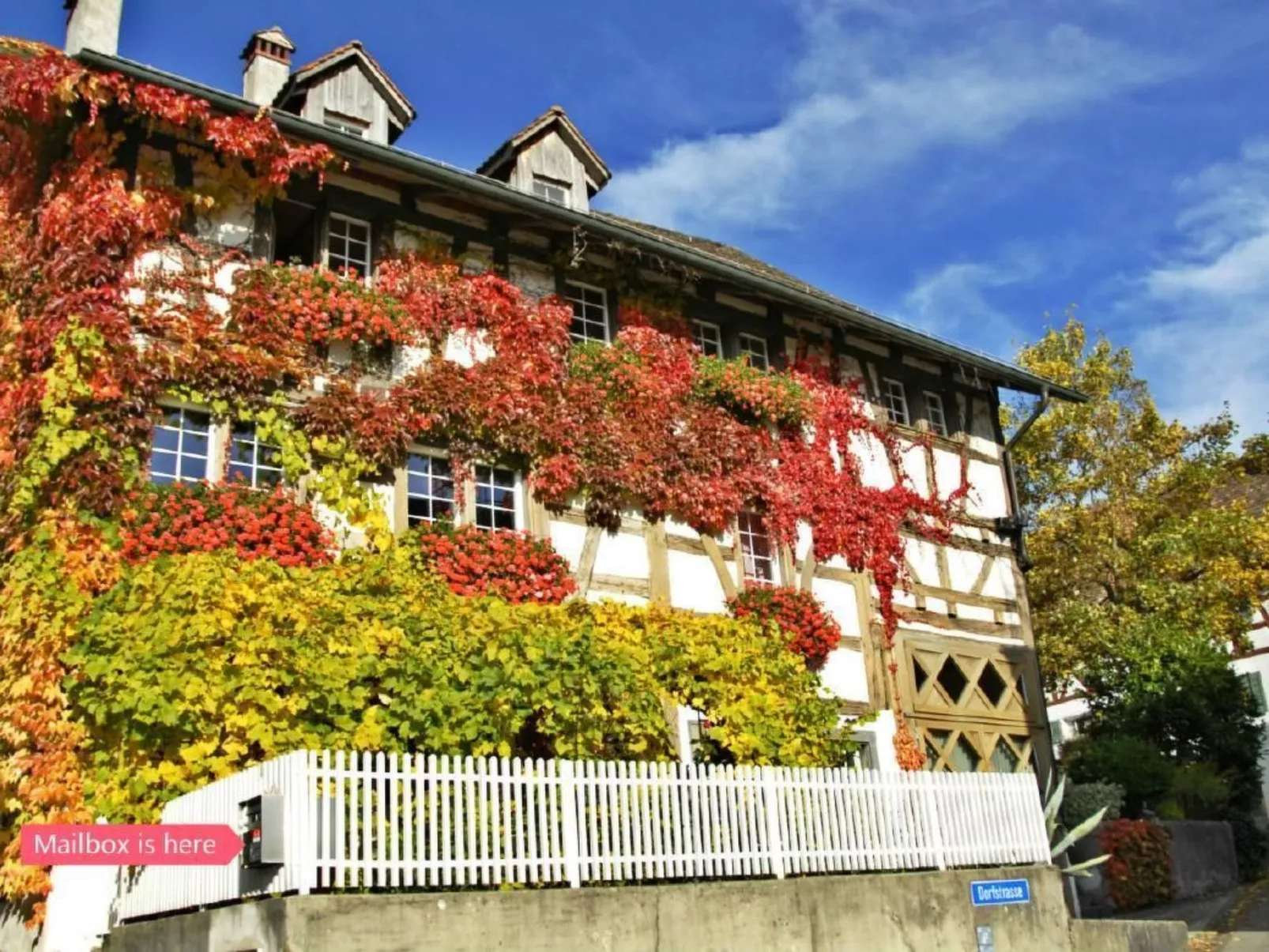 Les Mignardises - Image-tags.info