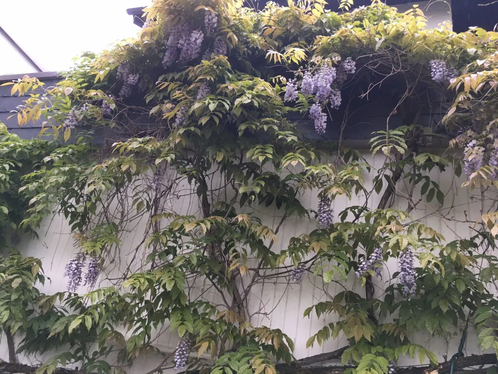 Rheintalblick 2 - Image-tags.info