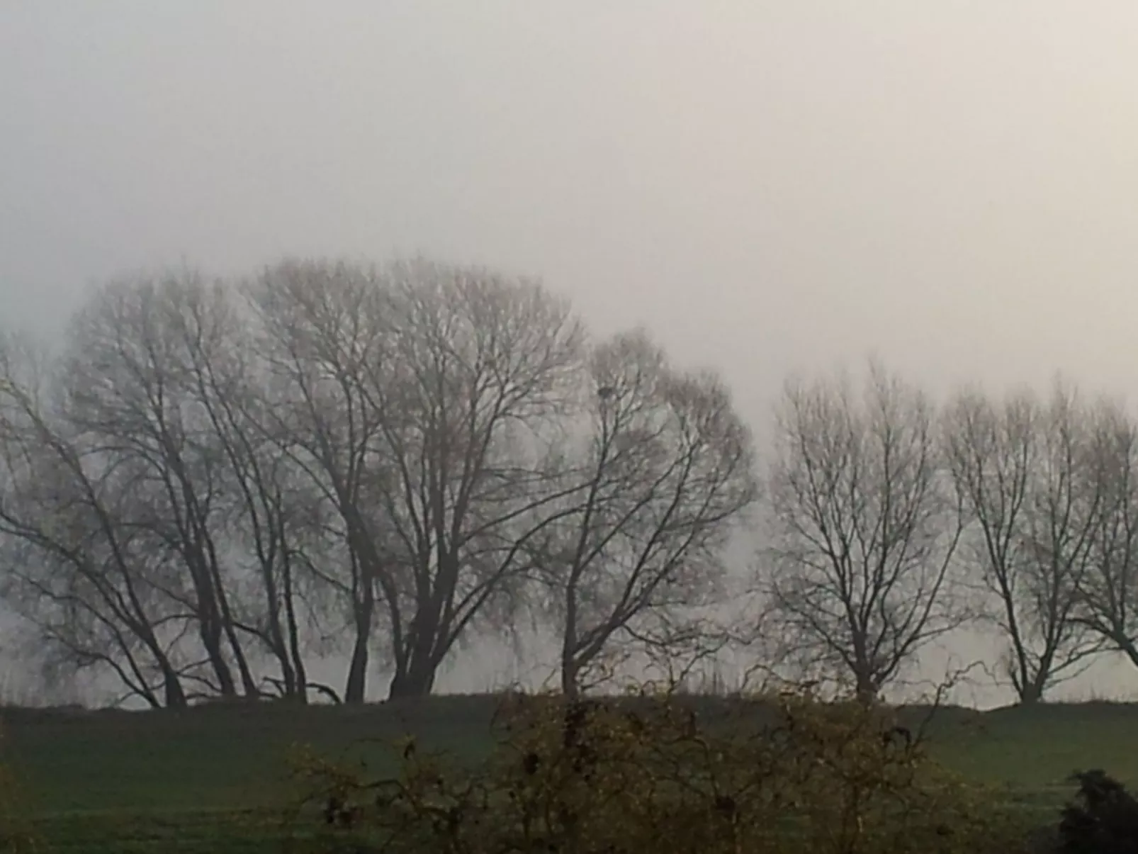 Kontor - Image-tags.info