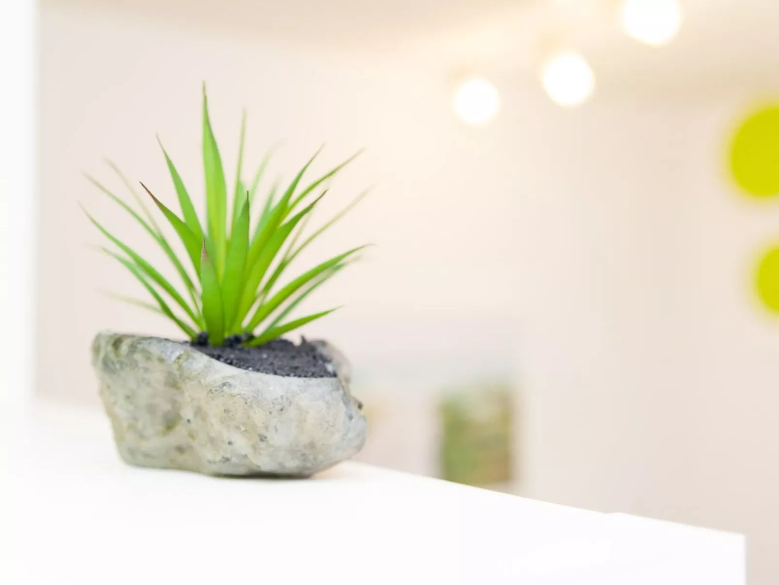 Für 2 Personen  + 1 Kind ca. 45 m&sup2; in Stubenberg am See, Steiermark (Ostst-Image-tags.info