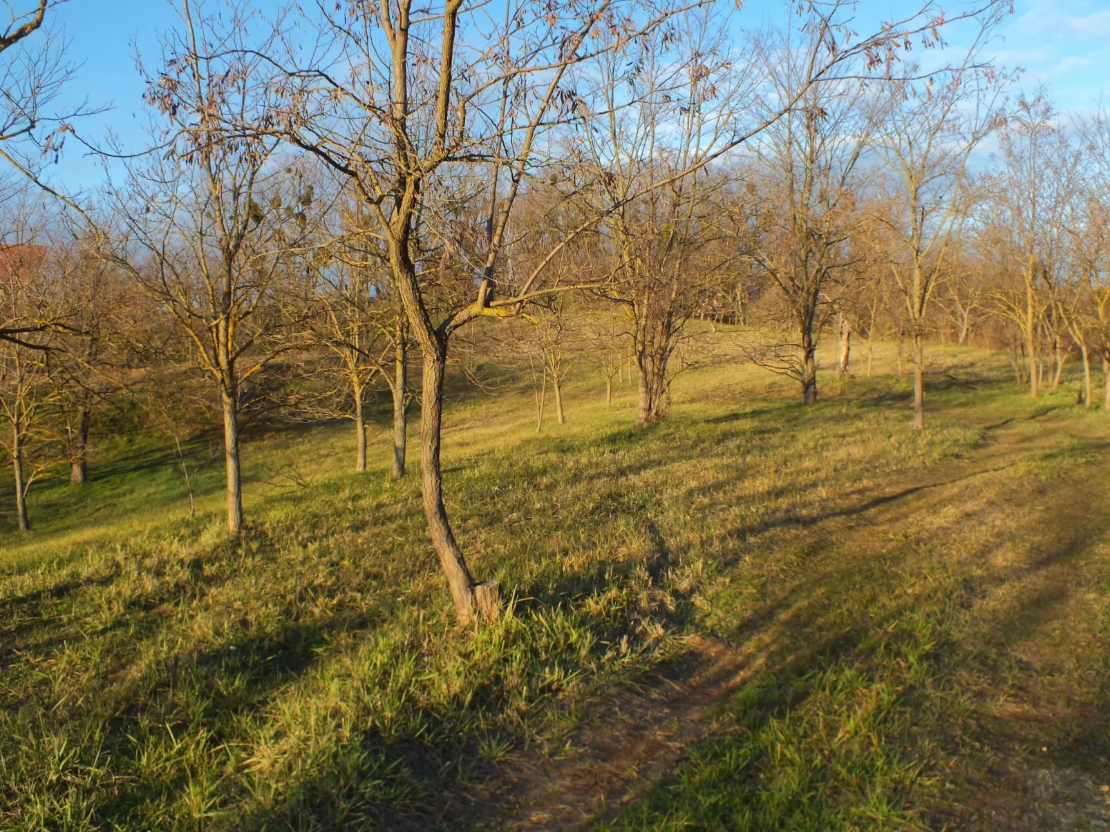 Müllers Ferienhaus Weinbergalm zum Wohlfühlen - Image-tags.info