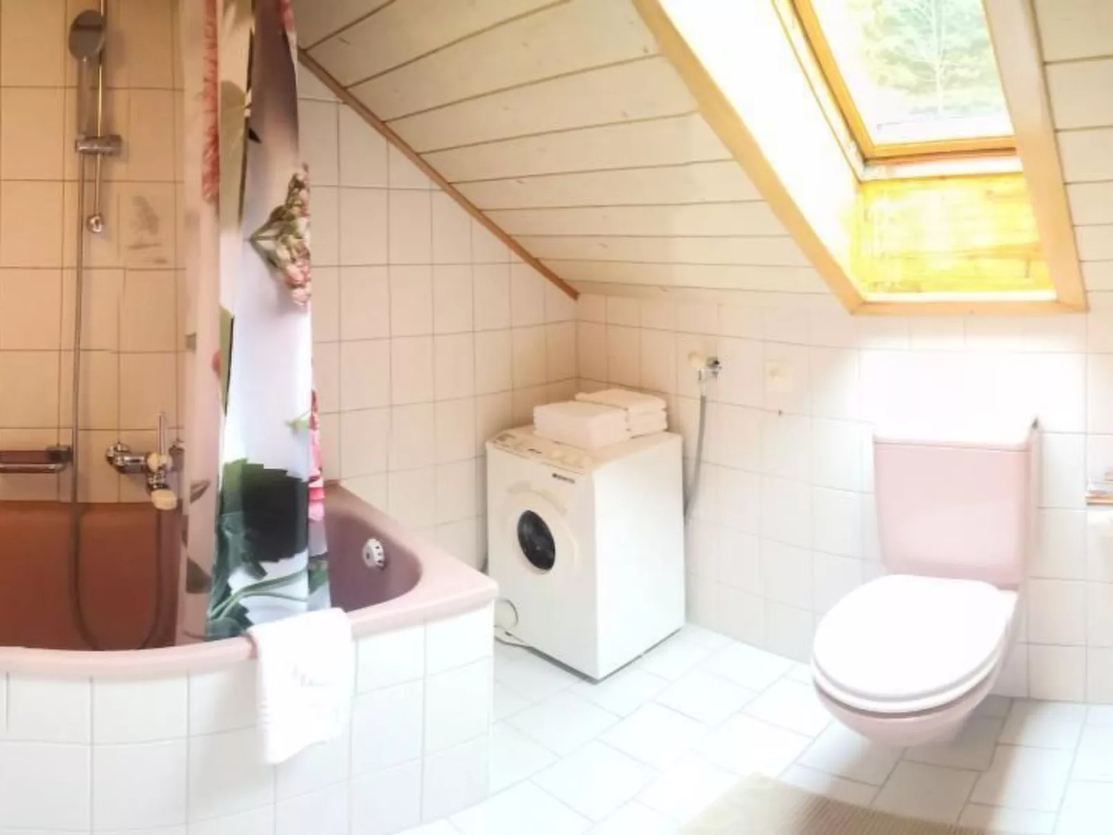 Karotte - Image-tags.info