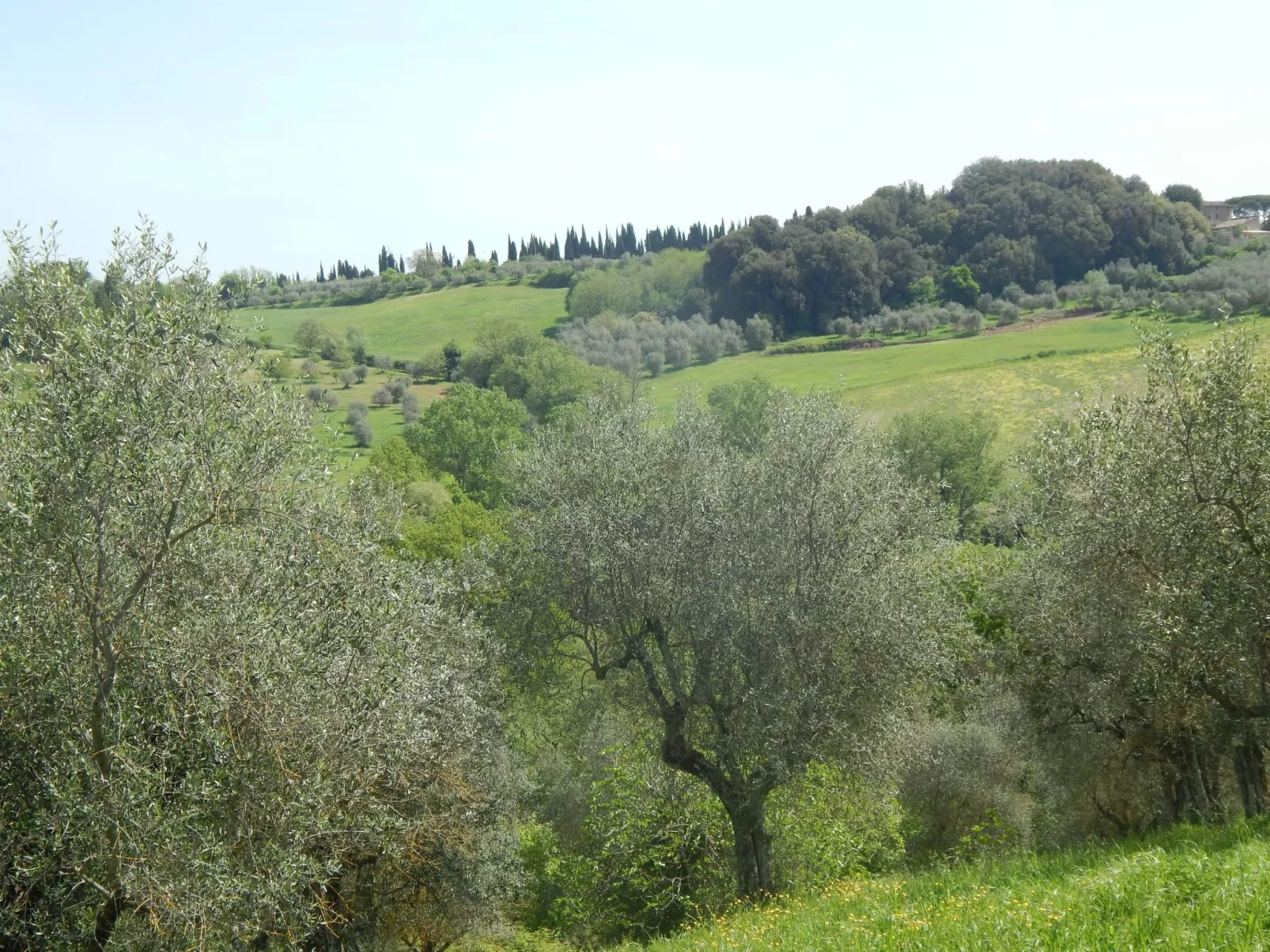 Wohnung auf dem Lande, 3 km vom Zentrum von Siena entfernt - Outside