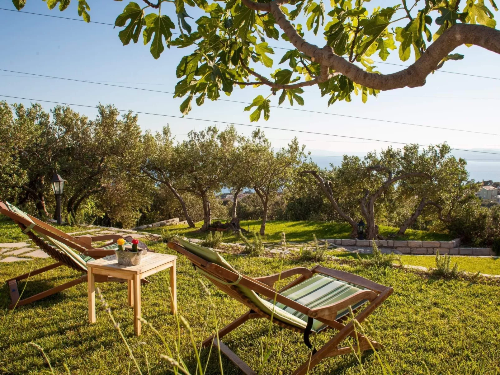 Rustikale Villa Oliveto - Image-tags.info