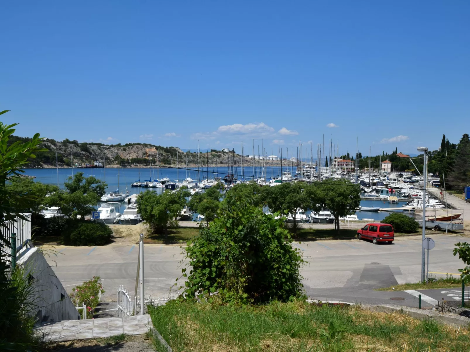 Pesja - Image-tags.info