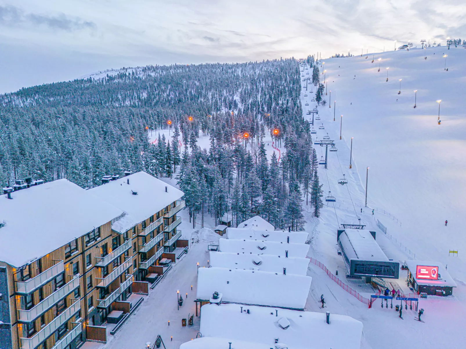 Lingonberry d11 - Drinnen