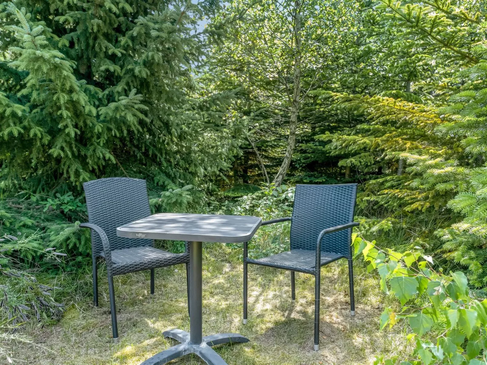 "Albertina" - 900m from the sea - Outside