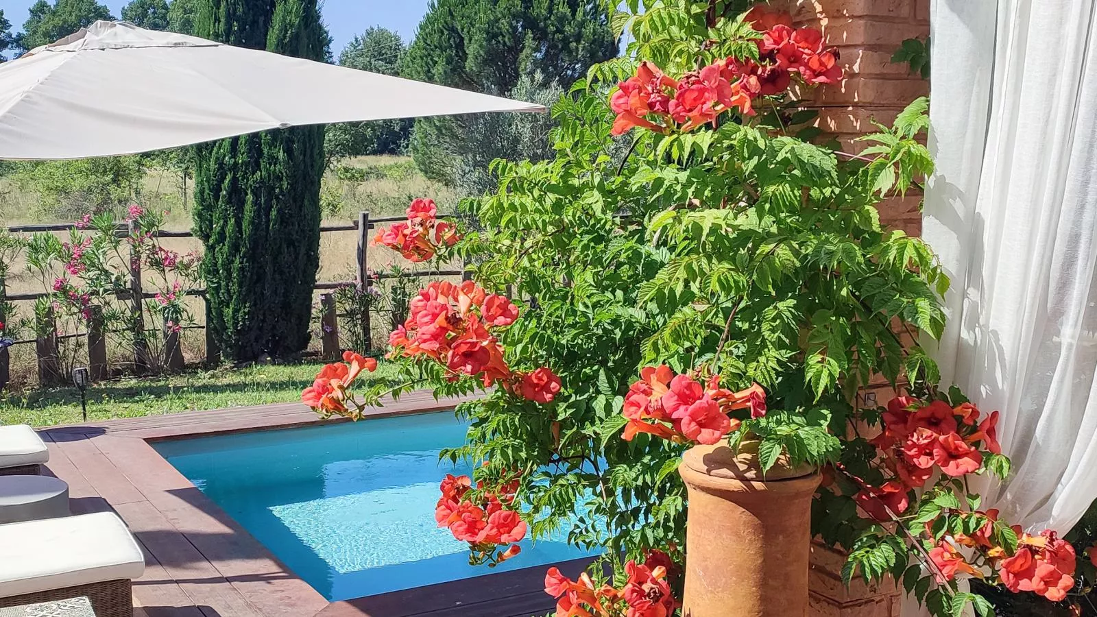 Citron - Gardens in summer