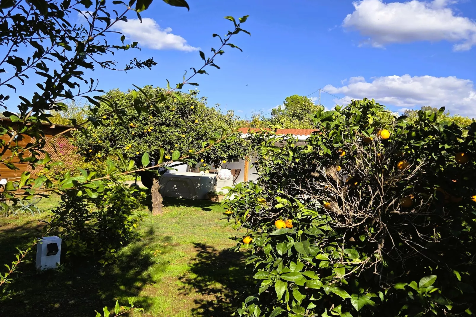 Casita Cartama - Garten Sommer