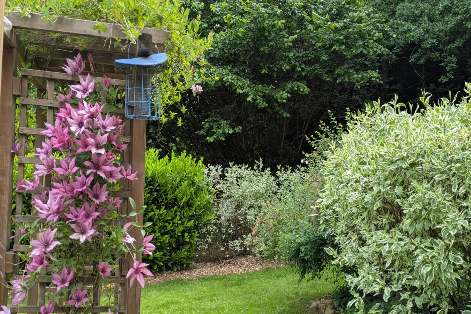 Chatillon 67-Ambiente