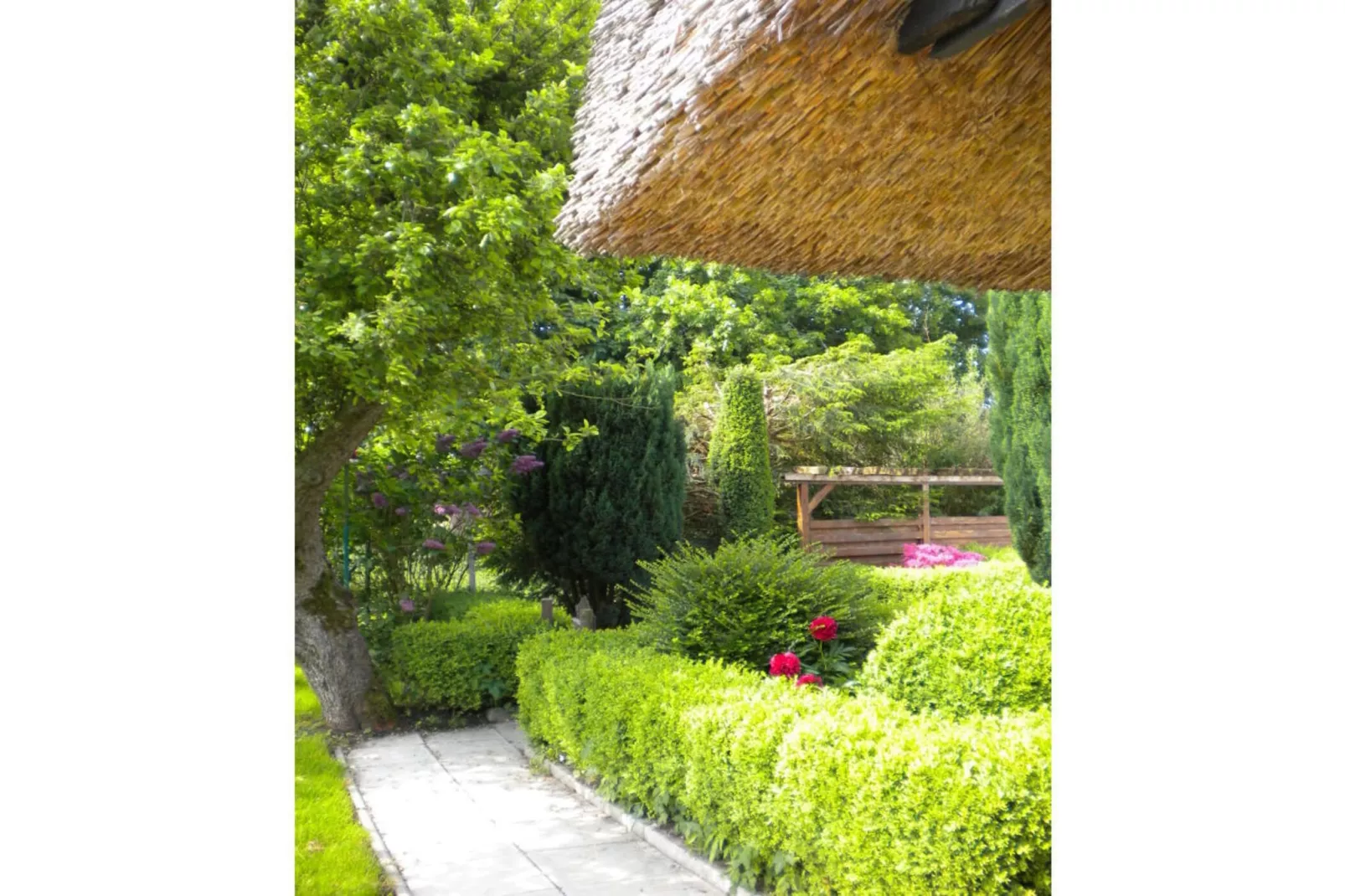 241032-Gardens in summer